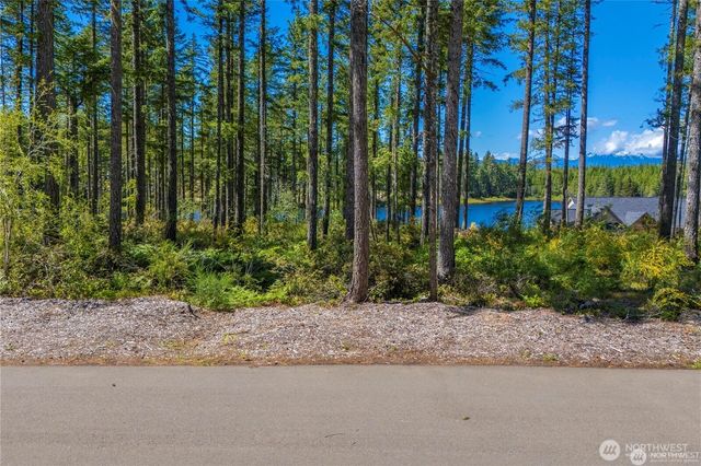 0 W Clear Lake Drive, Shelton, WA 98584