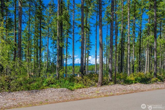 0 W Clear Lake Drive, Shelton, WA 98584