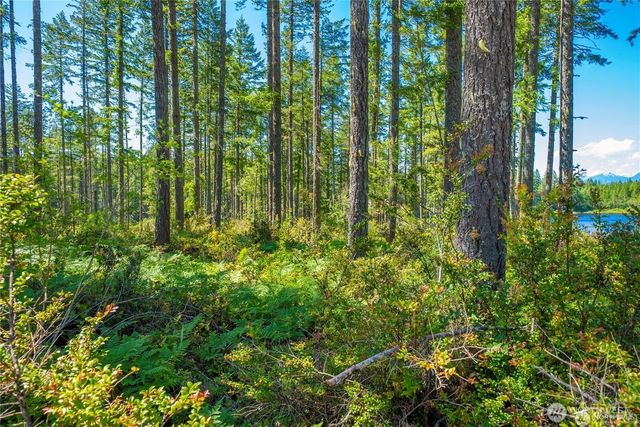 0 W Clear Lake Drive, Shelton, WA 98584