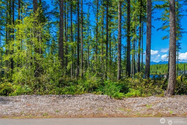0 W Clear Lake Drive, Shelton, WA 98584