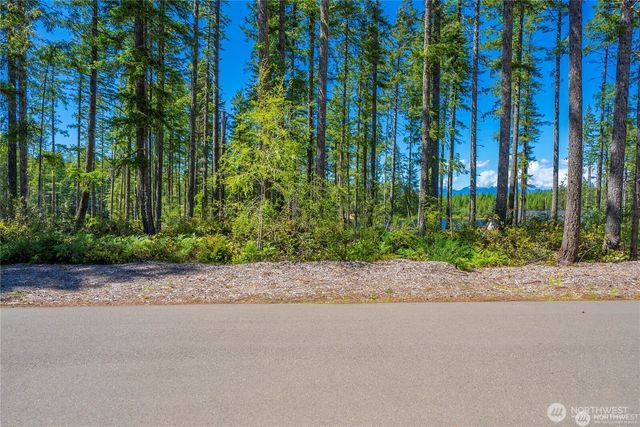 0 W Clear Lake Drive, Shelton, WA 98584