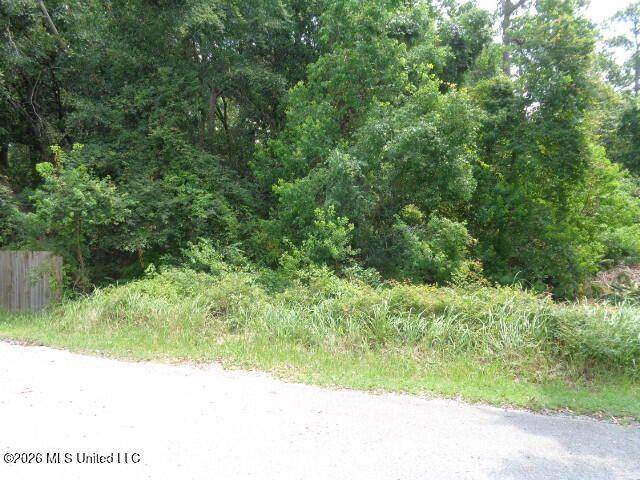 Wayne Lane, Biloxi, MS 39532