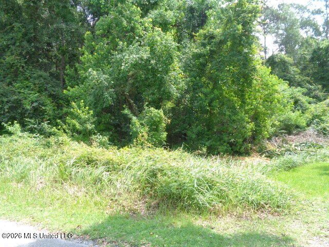 Wayne Lane, Biloxi, MS 39532