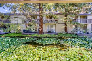 505 Cypress Point Drive 213, Mountain View, CA 94043