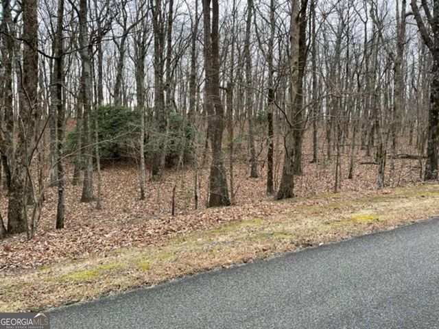 184 St Andrews Way, Ellijay, GA 30536