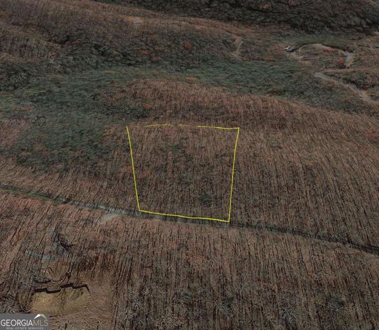 184 St Andrews Way, Ellijay, GA 30536