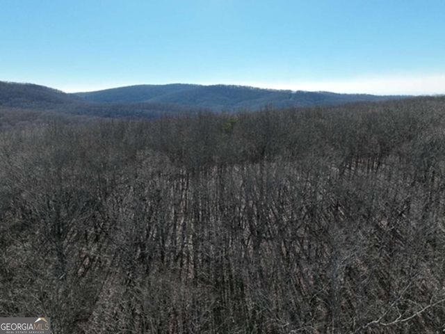 184 St Andrews Way, Ellijay, GA 30536
