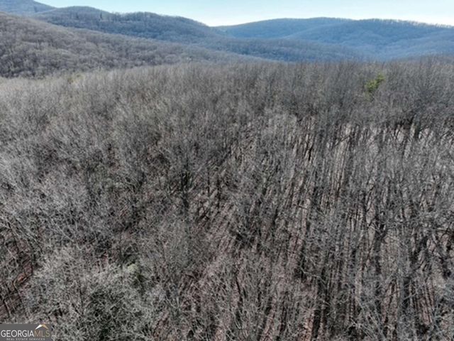 184 St Andrews Way, Ellijay, GA 30536