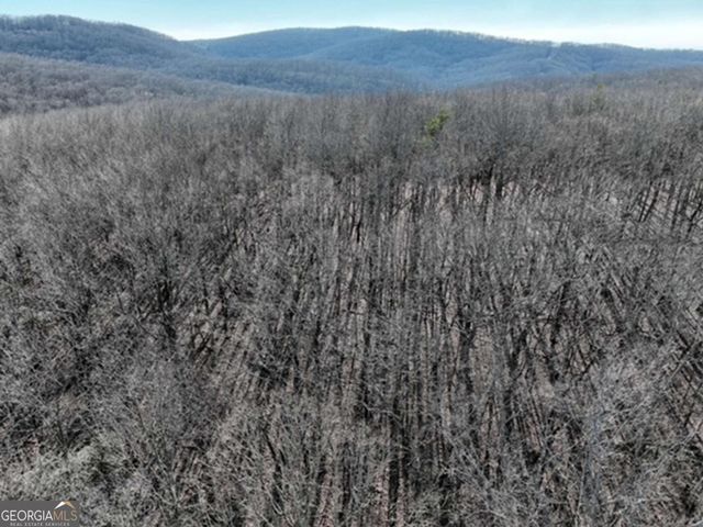 184 St Andrews Way, Ellijay, GA 30536