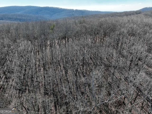 184 St Andrews Way, Ellijay, GA 30536