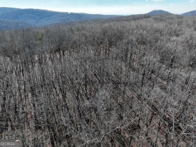184 St Andrews Way, Ellijay, GA 30536