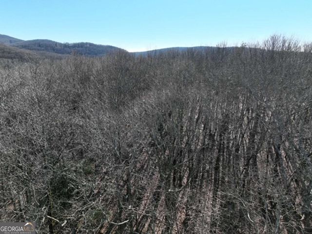 184 St Andrews Way, Ellijay, GA 30536