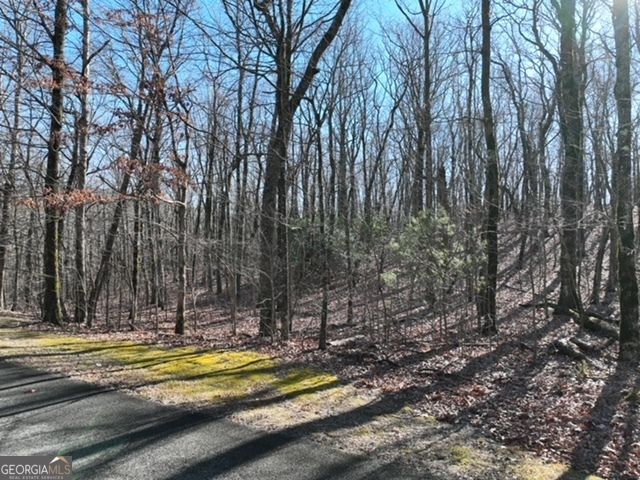 184 St Andrews Way, Ellijay, GA 30536