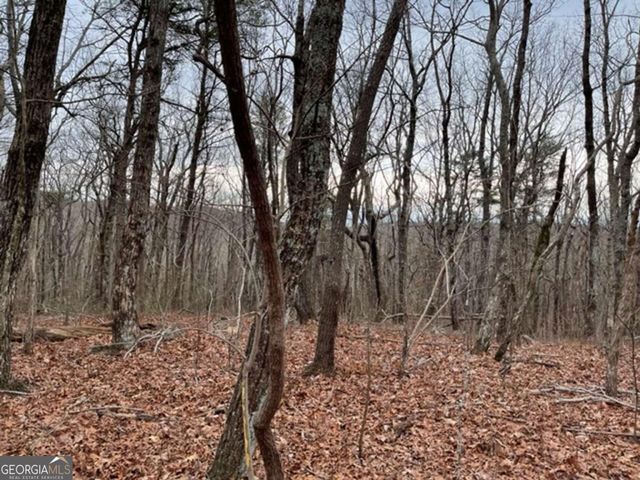 184 St Andrews Way, Ellijay, GA 30536