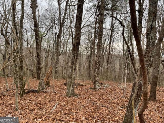 184 St Andrews Way, Ellijay, GA 30536