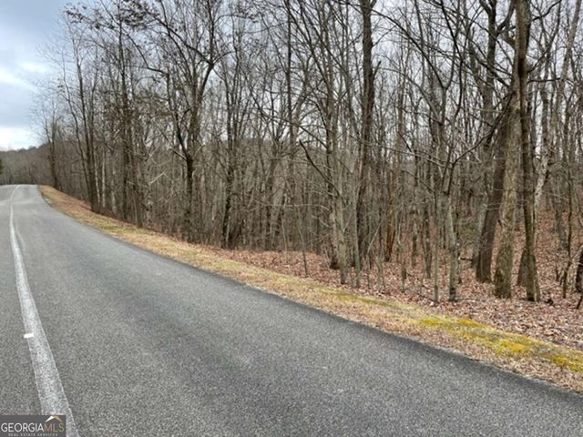 184 St Andrews Way, Ellijay, GA 30536