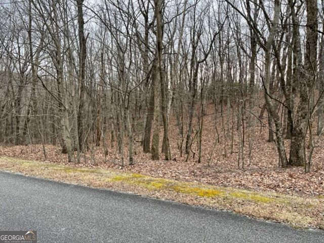 184 St Andrews Way, Ellijay, GA 30536