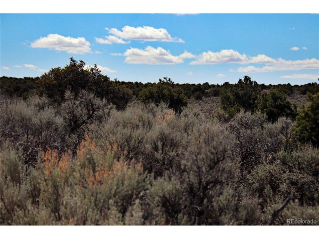 16 Gold Hawk, San Luis, CO 81152