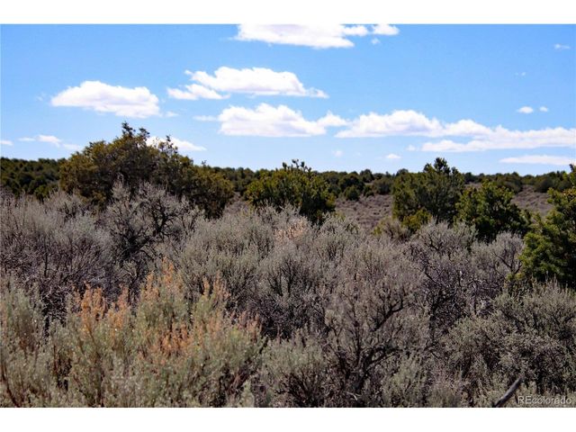 16 Gold Hawk, San Luis, CO 81152