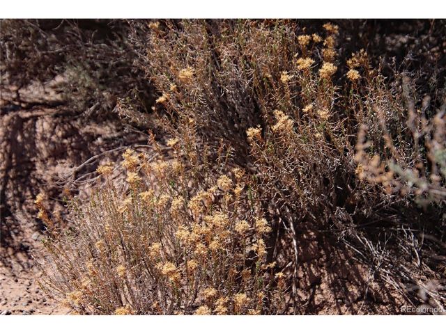 16 Gold Hawk, San Luis, CO 81152