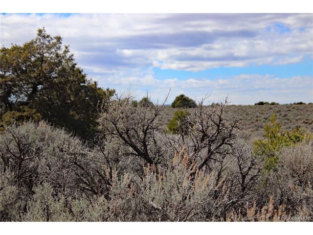 16 Gold Hawk, San Luis, CO 81152