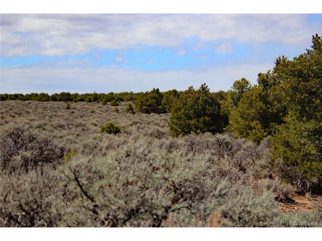 16 Gold Hawk, San Luis, CO 81152