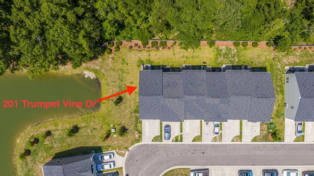 201 Trumpet Vine Drive, Summerville, SC 29486