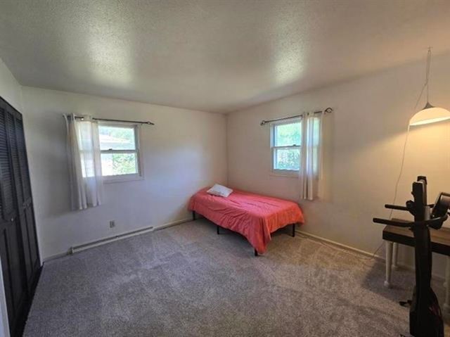 1521 E Broadway Street, Pleasant, MI 48858
