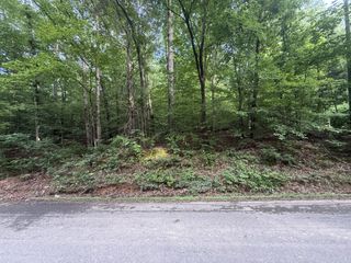 0 Caney Branch Rd, Stewart, TN 37175