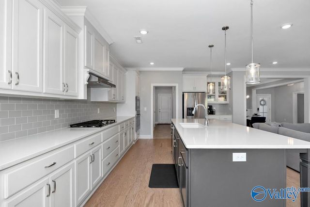 8114 Goose Ridge Drive, Owens Cross Roads, AL 35763