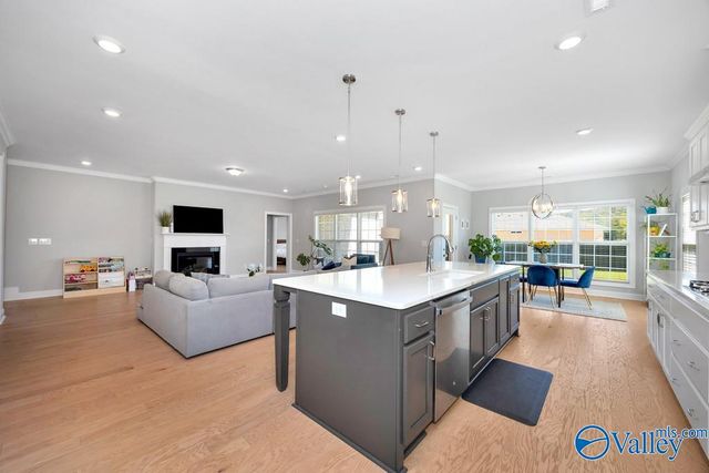 8114 Goose Ridge Drive, Owens Cross Roads, AL 35763