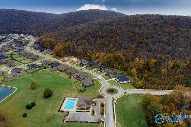 8114 Goose Ridge Drive, Owens Cross Roads, AL 35763