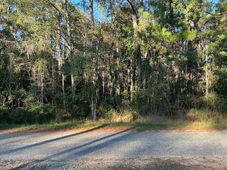 0 Bayou Road, Bayou La Batre, AL 36509