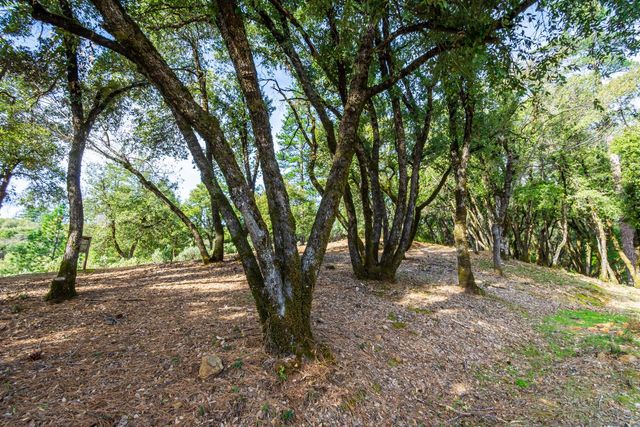 1384 Oak Ridge Dr, Colfax, CA 95713