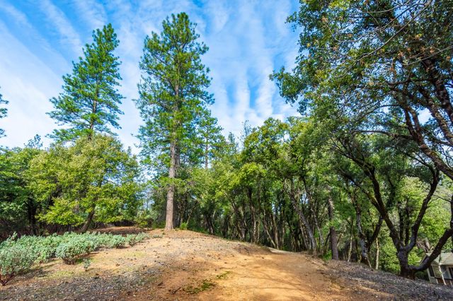 1384 Oak Ridge Dr, Colfax, CA 95713