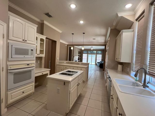 22703 Blue Canyon Drive, Katy, TX 77450