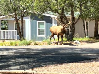 604 E BONITA Street, Payson, AZ 85541