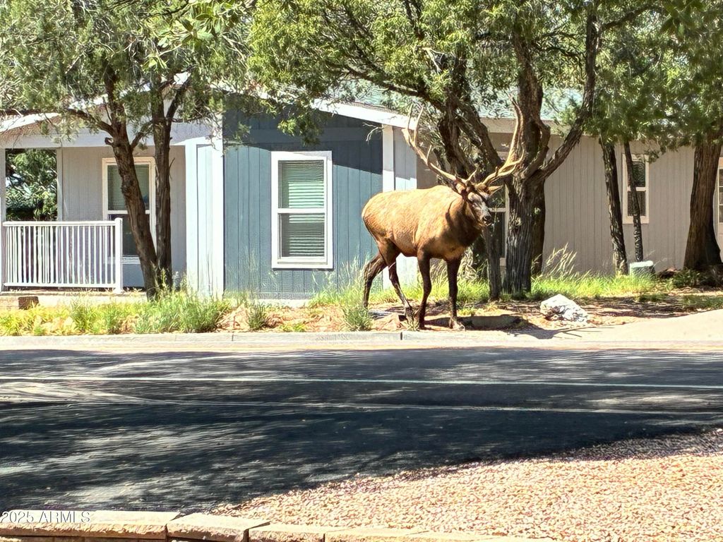 604 E BONITA Street, Payson, AZ 85541