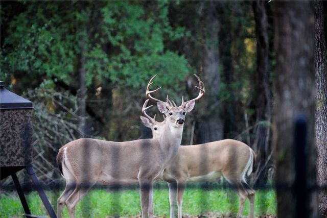 12801 County Road 1117, Cleburne, TX 76033