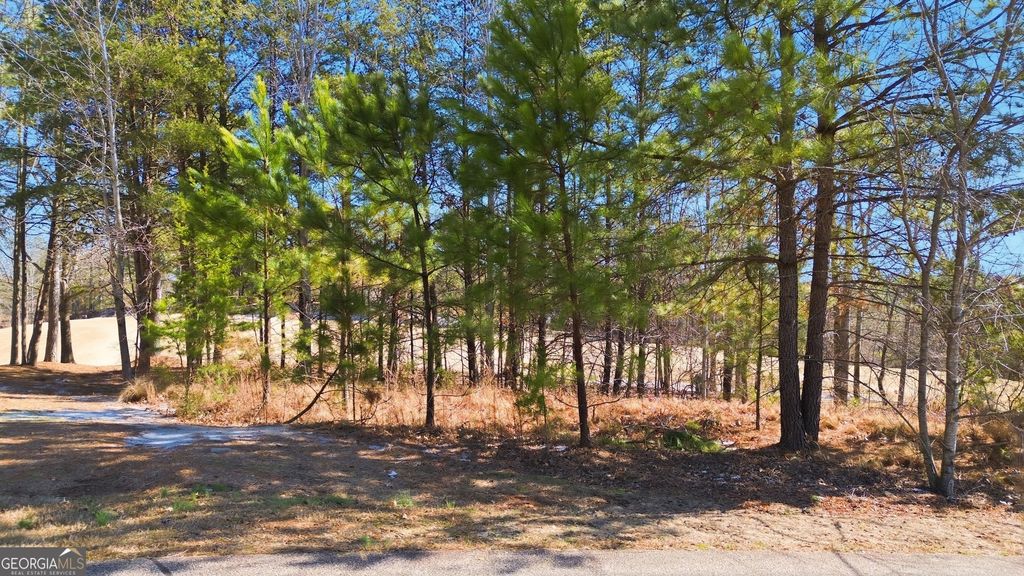 101 Cottage Lane, Toccoa, GA 30577 — photo 2