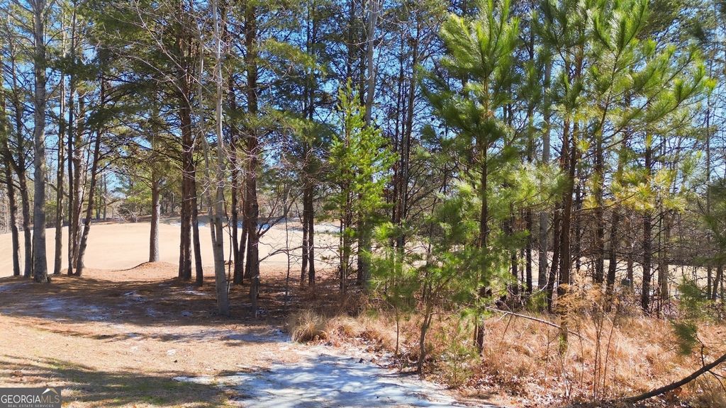 101 Cottage Lane, Toccoa, GA 30577 — photo 3