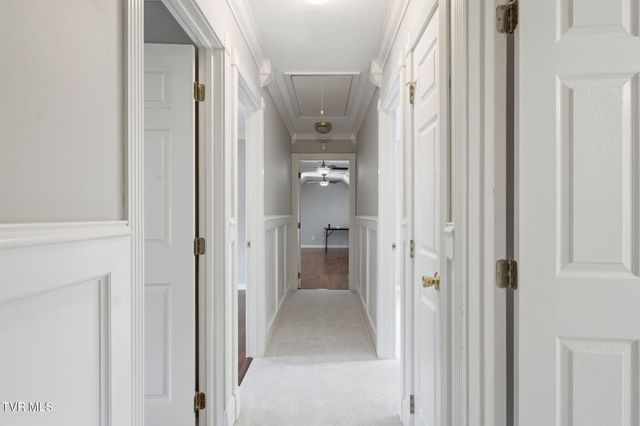 3914 Leaf Point, Kingsport, TN 37663