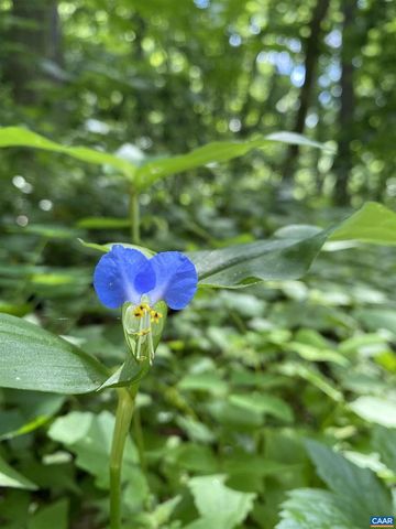 711 FAR KNOB CLIMB, Nellysford, VA 22958