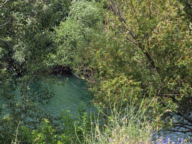 1528 E Boone Ave, Spokane, WA 99202