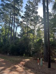 303132 Oak Pine Drive, Livingston, TX 77351