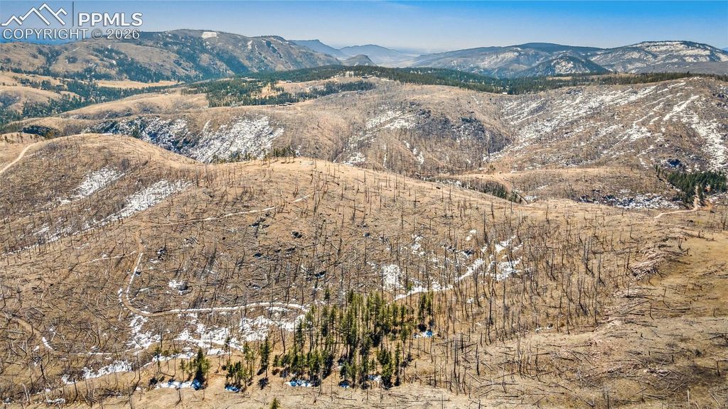 0 Rist Creek Road, Bellvue, CO 80512 — photo 3