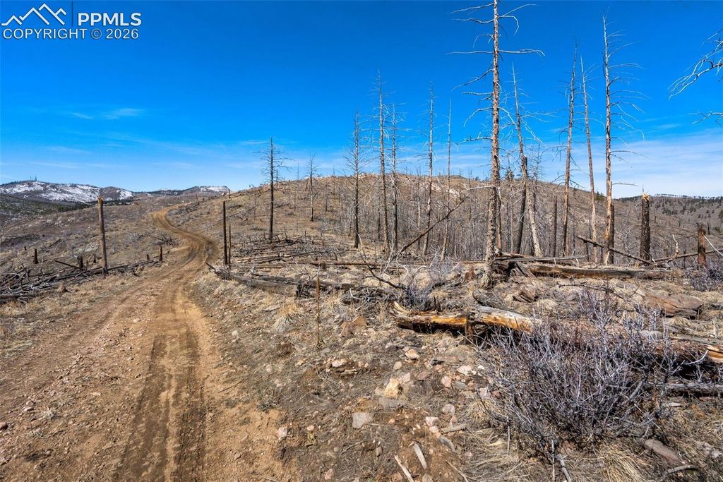 0 Rist Creek Road, Bellvue, CO 80512 — photo 4