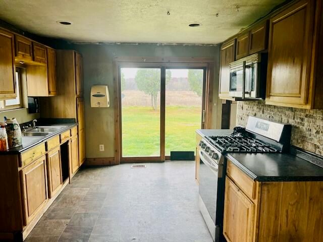 8702 W South River Drive, Grant, MI 49327