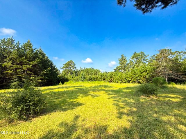 5069 Magnolia Progress Road, Magnolia, MS 39652