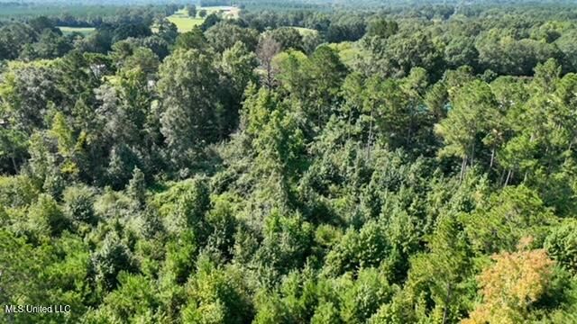 5069 Magnolia Progress Road, Magnolia, MS 39652